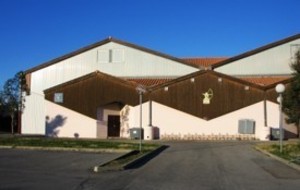 Tournoi de la Toussaint au gymnase de Pérols