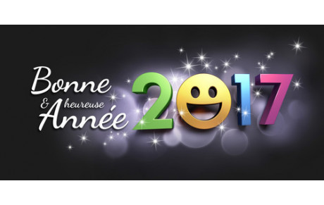 Bonne Année 2017