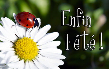 Informations Pérols PPC